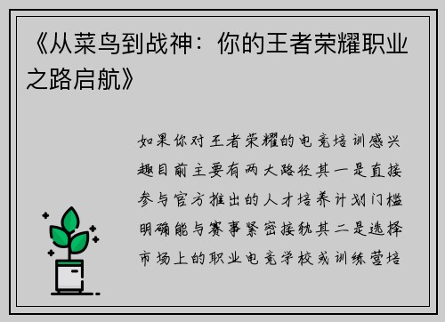 《从菜鸟到战神：你的王者荣耀职业之路启航》